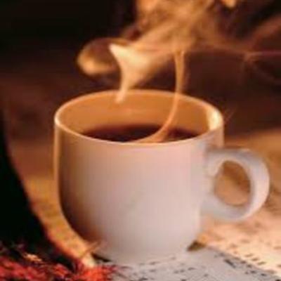 Timeline: Café Mi Tierra