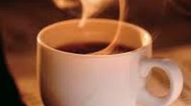 Timeline: Café Mi Tierra