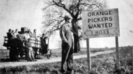 Timeline: Migrant Workers in the 1920's to the 1990's