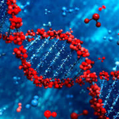 Timeline: el ADN- Laura Mendoza