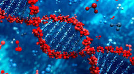 Timeline: el ADN- Laura Mendoza