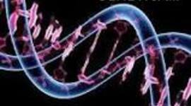 Timeline: LA GENETICA