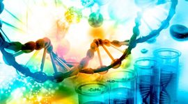 Timeline: Molecular. Timeline