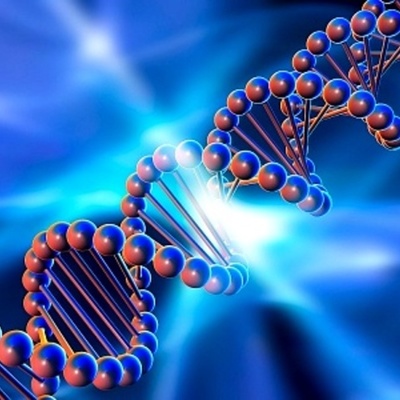 Timeline: La Genetica