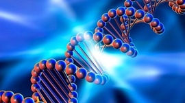 Timeline: La Genetica