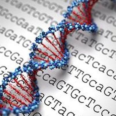 Timeline: HISTORIA DE LA BIOLOGÍA MOLECULAR (Valeria Vásquez Amell)