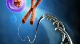Timeline: Linea de Tiempo de sucesos importantes en  Biología Molecular [Joel D. Anguila]