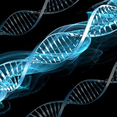 Timeline: La Genetica