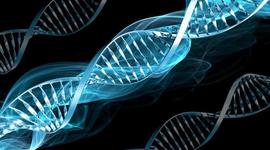 Timeline: La Genetica