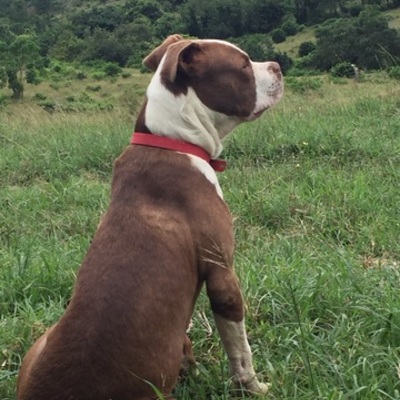 Timeline: Una biografìa