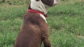 Timeline: Una biografìa