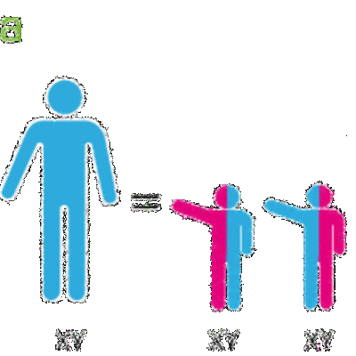 Timeline: LINEA DEL TIEMPO DE LA CIENCIA