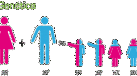 Timeline: LINEA DEL TIEMPO DE LA CIENCIA