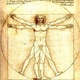 30237 el hombre de vitrubio leonardo da vinci crop