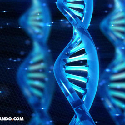 Timeline: Evolución del Estudio de la Genética