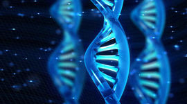 Timeline: Evolución del Estudio de la Genética