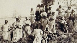 Timeline: The Successful Changes to African-American Society and Culture