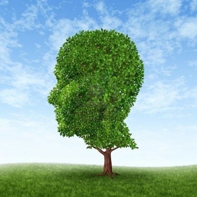 Timeline: Historia de la Psicología Ambiental