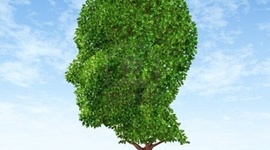 Timeline: Historia de la Psicología Ambiental