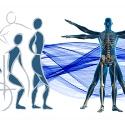 Timeline: Evolucion del Concepto de Fisioterapia