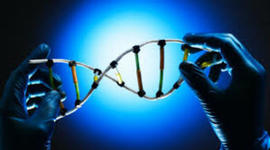 Timeline: LA GENETICA