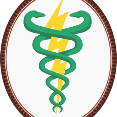 Timeline: Fisioterapia