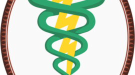 Timeline: Fisioterapia