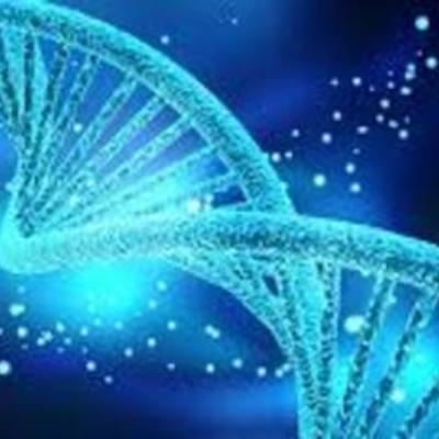 Timeline: la genetica