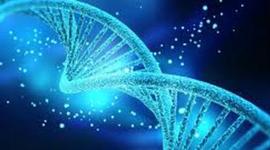 Timeline: la genetica