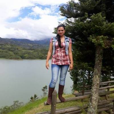 Timeline: marco legal farmacovigilanciay tecnovigilancia - Betty Marcela Beltran Vanegas - de Lebrija Santander