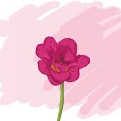 Timeline: historia de choloma