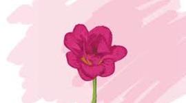 Timeline: historia de choloma