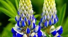 Timeline: Medio Ambiente