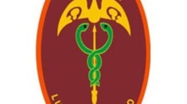 Timeline: Historial académico