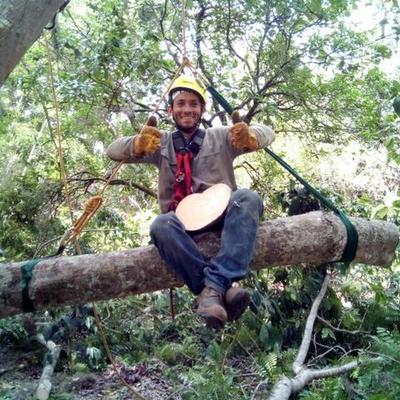 Timeline: Marco legal Farmacovigilancia y Tecnovigilancia-Robinson Adrian Rincón Rueda- San Vicente de Chucurí, Santander