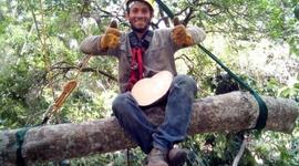 Timeline: Marco legal Farmacovigilancia y Tecnovigilancia-Robinson Adrian Rincón Rueda- San Vicente de Chucurí, Santander