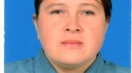 Timeline: Marco legal  Farmacovigilancia y Tecnovigilancia - Marisol Ulloa Castro- Santa fe de Bogotá