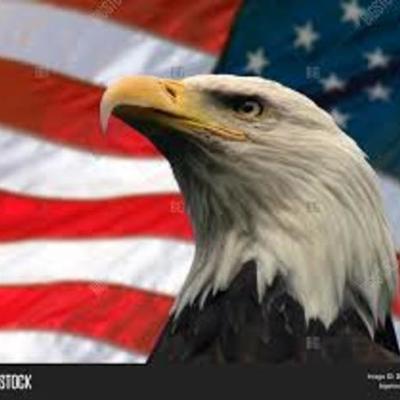 Timeline: US History: VHS Summer: Natalee Huber (U.S. History 1877-present)