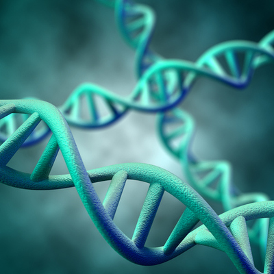 Timeline: Avances sobre los genes