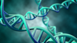 Timeline: Avances sobre los genes