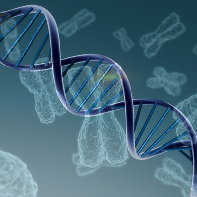 Timeline: LA GENETICA