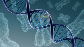 Timeline: LA GENETICA