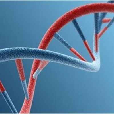 Timeline: La genetica