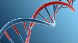 Timeline: La genetica