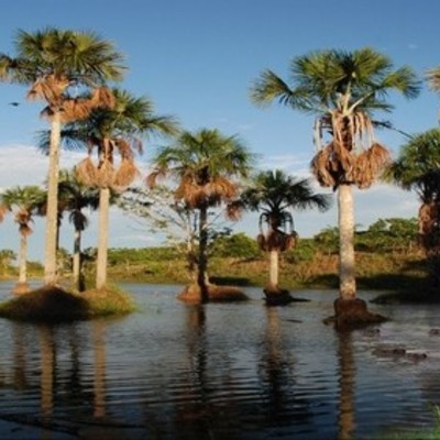 Timeline: Conoce Villavicencio la Bella