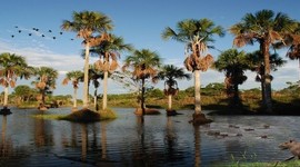 Timeline: Conoce Villavicencio la Bella