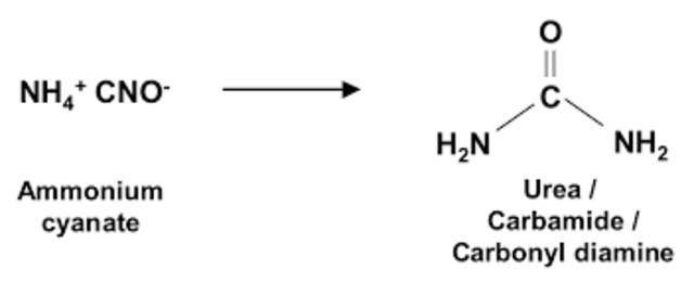 Synthesis of urea equation image