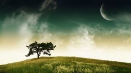 Timeline: ECOSISTEMAS