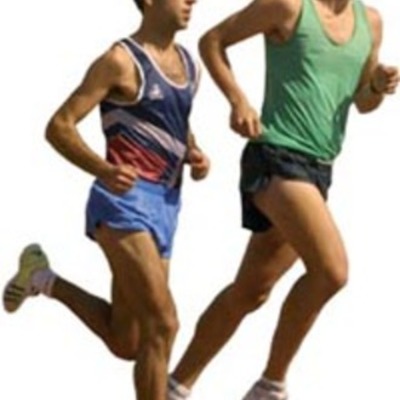 Timeline: EVOLUC DELTRANSP