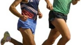 Timeline: EVOLUC DELTRANSP